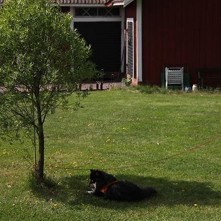Mora Vandrarhem Och Gaesthem Vinas Exterior photo