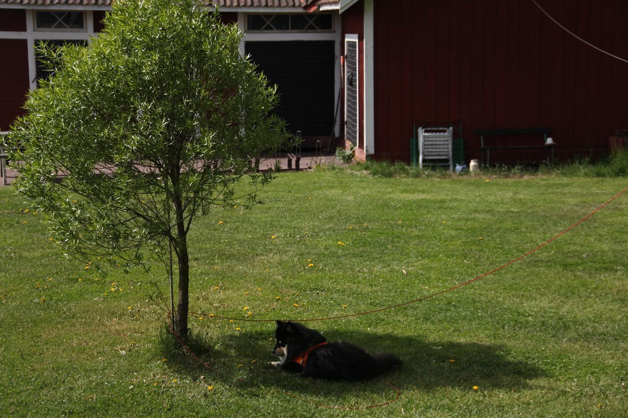 Mora Vandrarhem Och Gaesthem Vinas Exterior photo