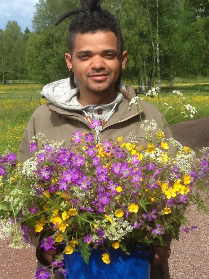 Mora Vandrarhem Och Gaesthem Vinas Exterior photo