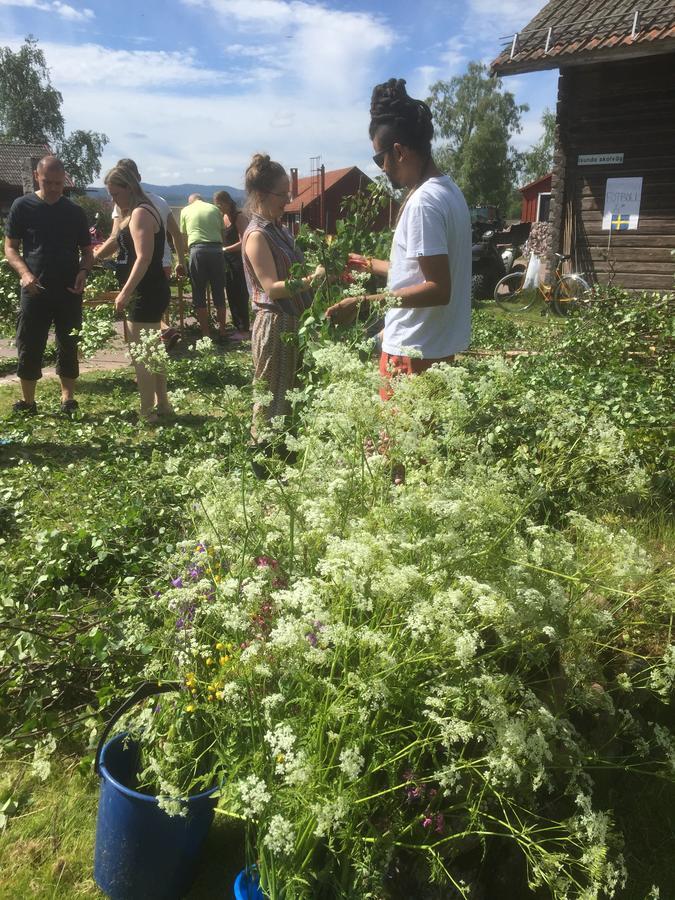 Mora Vandrarhem Och Gaesthem Vinas Exterior photo
