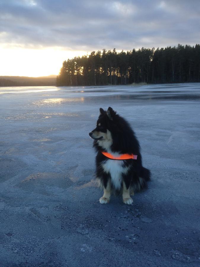 Mora Vandrarhem Och Gaesthem Vinas Exterior photo